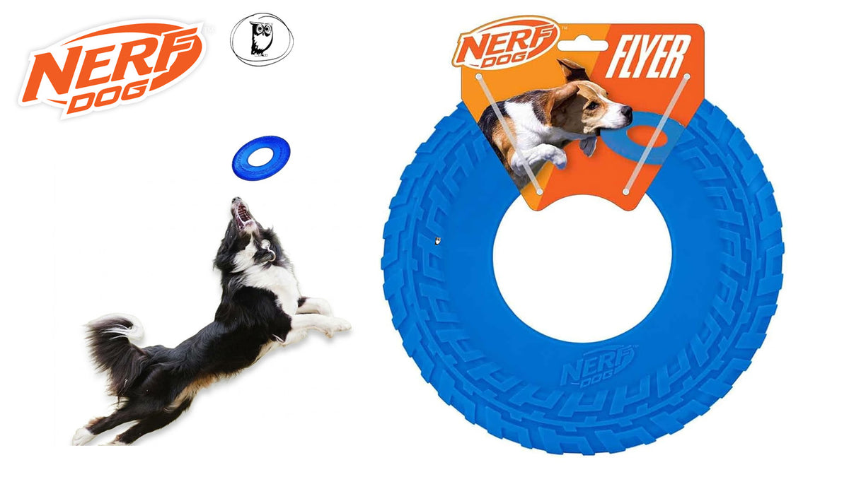 צלחת מעופפת לתפיסה - Nerf Dog Flyer