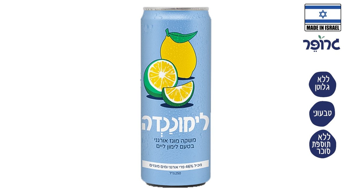 Grouper Lemonade - Can of Carbonated Organic Lemon Lime Drink