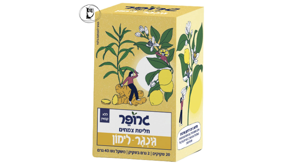 חליטת ג׳ינג׳ר־לימון - גרופר