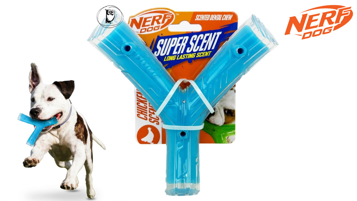 צעצוע לעיסה לכלב -Nerf Dog Super Scent Dental Chew