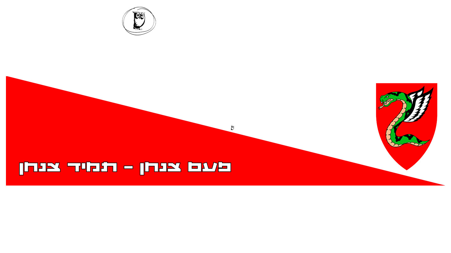 סטיקר צנחנים