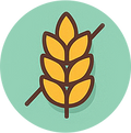 <p>ללא גלוטן  <br/>Gluten Free</p>